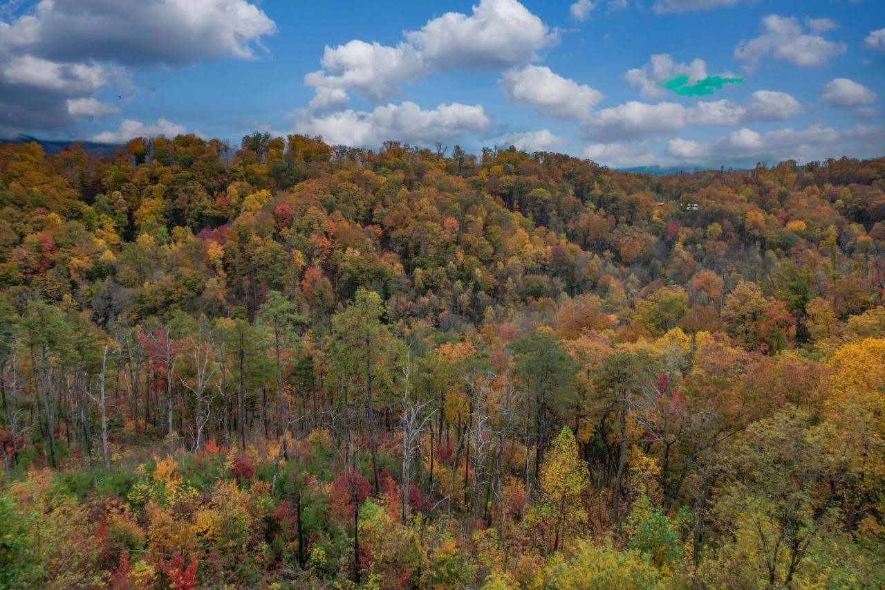 The Overlook - '21 Cabin - Gorgeous Unobstructed Views - Fire Pit Table - Gamerm - Hottub - Xbox - Lots Of Bears Gatlinburg Eksteriør billede